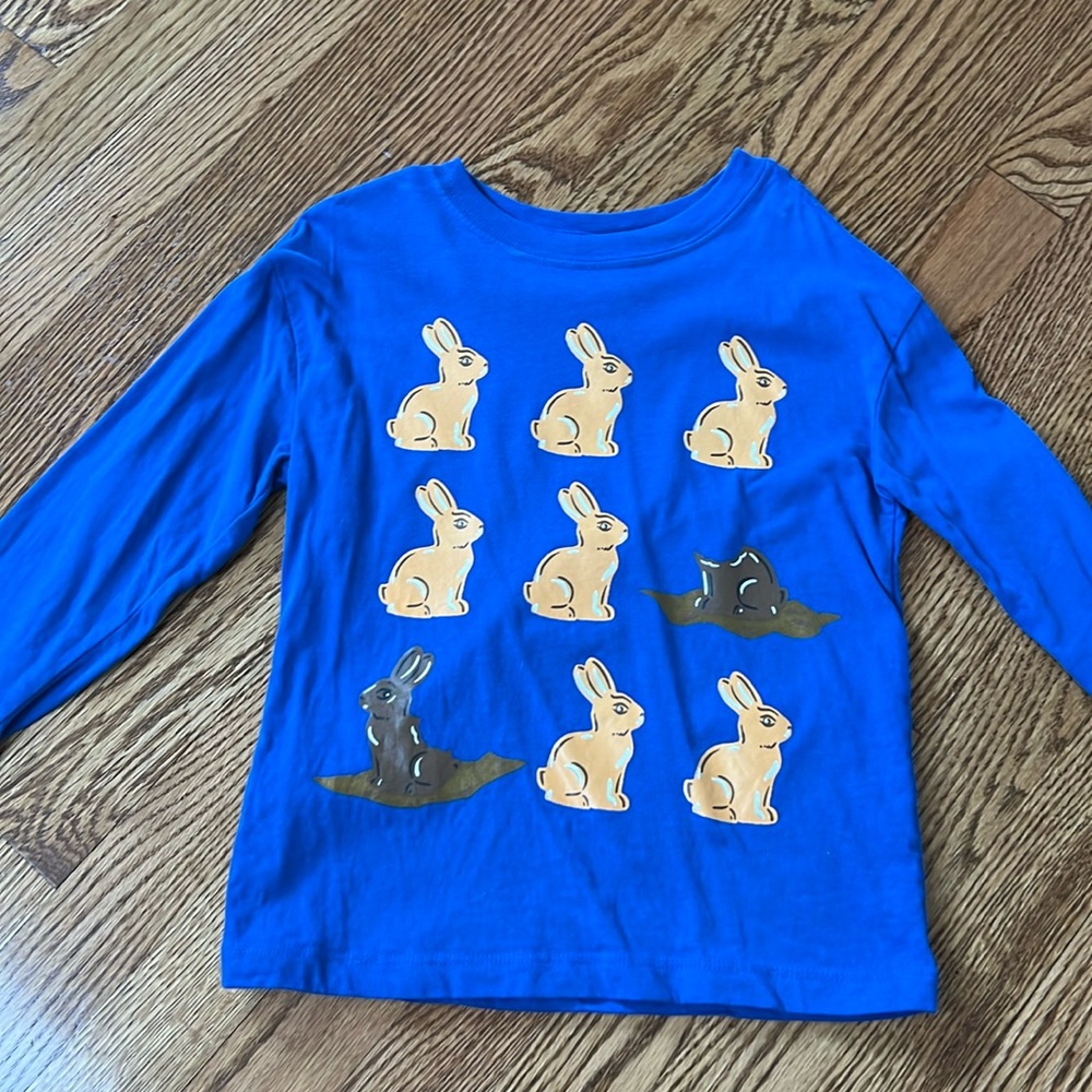 Hanna Andersson Bunny Shirt